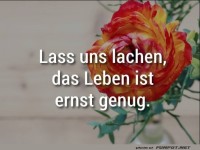 Lass uns lachen