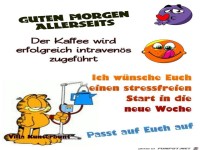 Guten Morgen allerseids