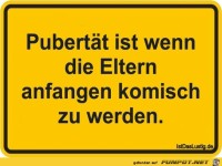 Download Pubertaet sprueche lustig For Free