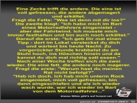 Eine Zecke trifft die andere