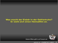 Was macht der Eisb�r in der Gefriertruhe?