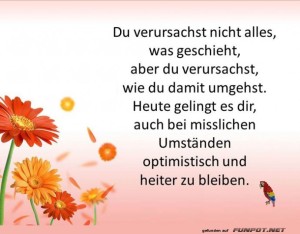 Du-verursachst.jpg auf www.funpot.net