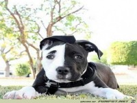 Ich warte auf Freitag