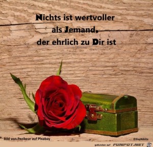 Nichts-ist-wertvoller-als-jemand-der-ehrlich-zu-dir-ist.jpg auf www.funpot.net