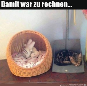 Das-war-klar.jpg auf www.funpot.net