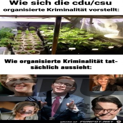 Leider-wahr.jpg von Lina