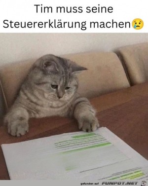 Er-muss-die-Steuer-machen.jpg auf www.funpot.net