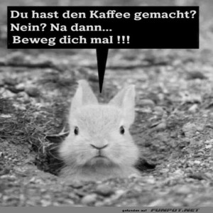 fun-Bild: Beweg dich mal und mach Kaffee