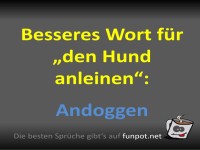 Witziges Synonym für Hund anleinen