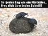 weiter
