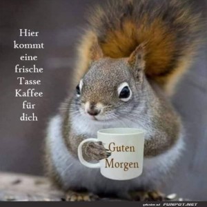 Eichhrnchen-mit-Kaffeetasse.jpg von Celina93