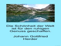 die schnheit der welt ist