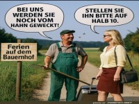 Wenn der Hahn als Wecker nicht reicht