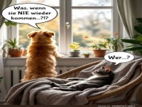 Die Existenzkrise eines Hundes