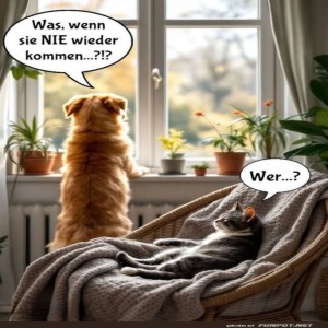 fun-Bild: Die Existenzkrise eines Hundes