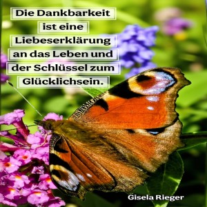 die-dankbarkeit-ist-eine.jpg von Fabioma