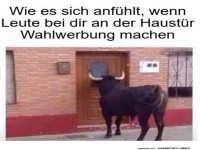 Wenn der Stier Wahlkampf betreibt
