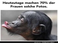 Wenn Selfies Affen inspirieren!