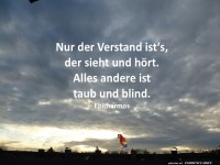 Nur der Verstand ist's