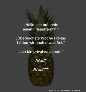Ananas-im-Friseurstress!.jpg auf www.funpot.net