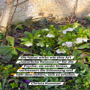 DIE-NATUR-WIRKT-WIE-EINE-ART.png von Fabioma