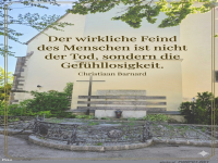 der wirkliche feind