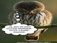 Gute-Laune-Gesicht
