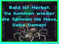 Bald ist Herbst