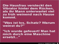 die Hausfrau versteckt den Vibrator.....