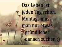 Das Leben ist jeden Tag schoen