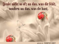 Denke nicht so oft
