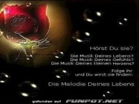 Hrst du sie?..........