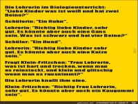 im Biologieunterricht.......