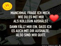 Kollegen