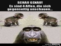 Schau genau !