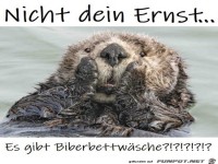 Biber-Bettwäsche