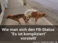 Komplizierter Status
