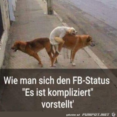Komplizierter-Status.jpg von DunklesBrot