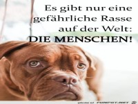 Eine gefährliche Rasse