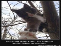 Reich mir deine Hand