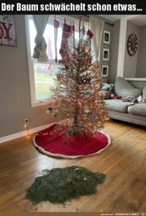 Baum-schw�chelt-etwas.jpg auf www.funpot.net