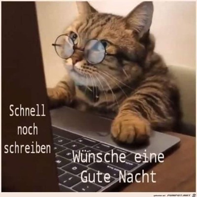 noch-schreiben.jpg von Ava