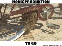 Besonderer Bienenstock