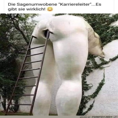 Leiter.jpg von Tillmann