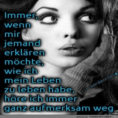 Ganz-aufmerksam.jpg von Keule56
