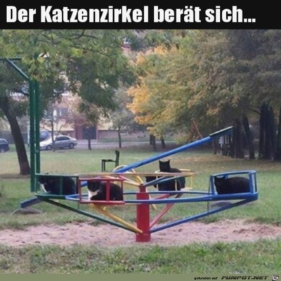 Der-Katzenzirkel.jpg von Jaden