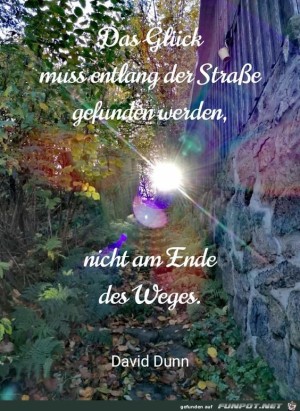 Das-Glck-mu-entlang-der-Strasse-gefunden-werden.jpg auf www.funpot.net