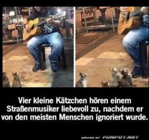 Liebe-Katzen.jpg auf www.funpot.net