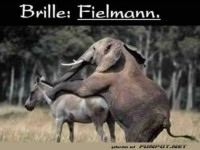 Brille w�re gut
