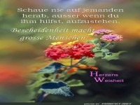 Schau auf niemanden herab